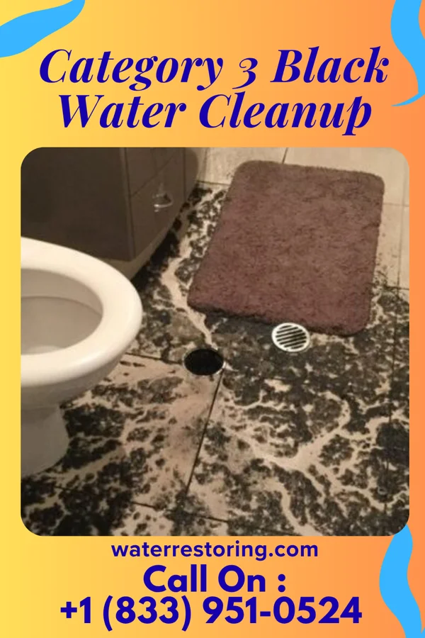 Category 3 Black Water Cleanup in Pataskala, OH