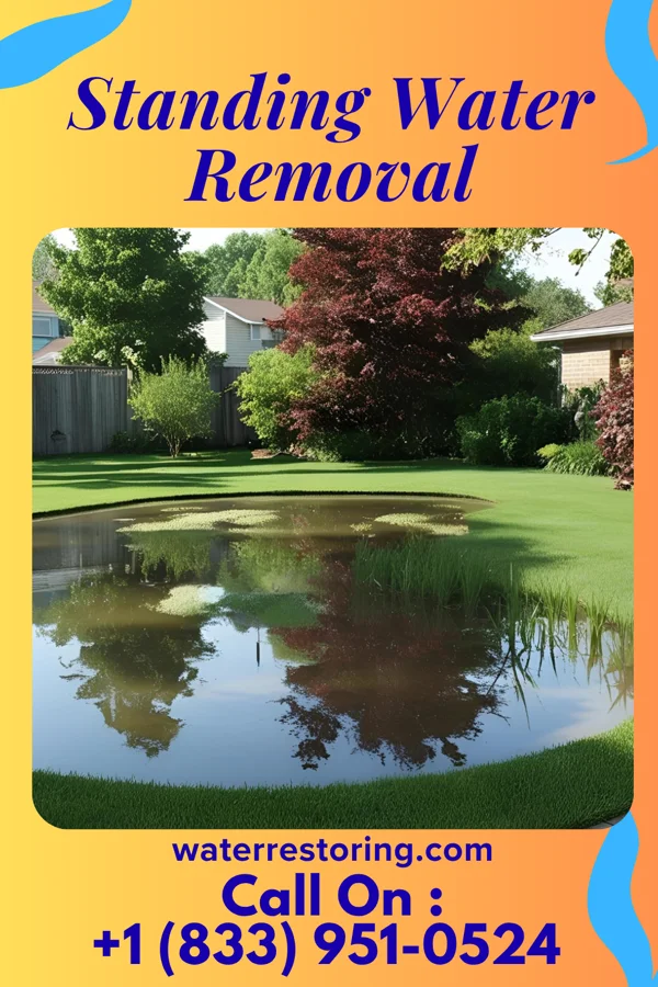 Standing Water Removal in Pataskala, OH